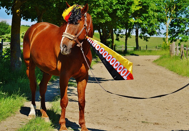 足球收入 足球收入