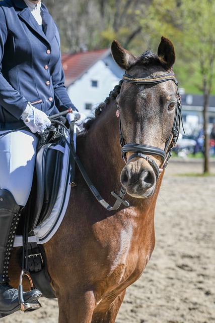 但更为关键 但更为关键