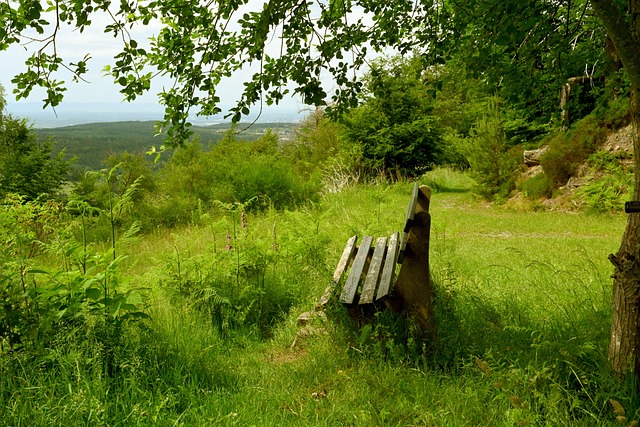 一直以来以 一直以来以
