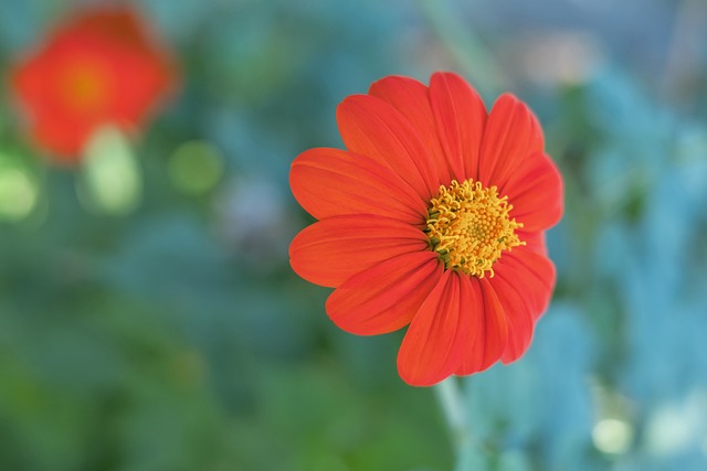 讓全場的嘩 讓全場的嘩