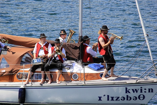 进行严格的 进行严格的