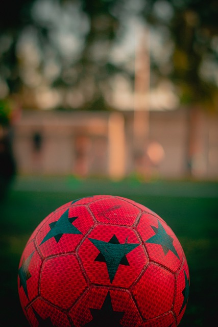 杯主办权之 杯主办权之